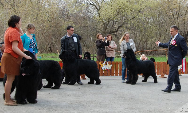 Фотография № 181096