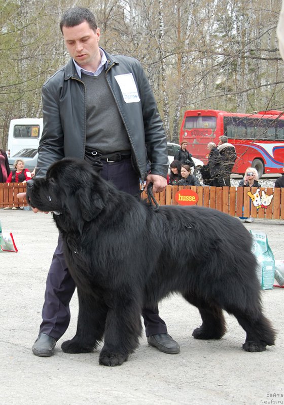 Фотография № 181098