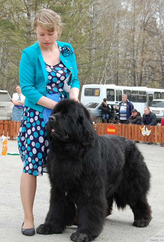 Фотография № 181100