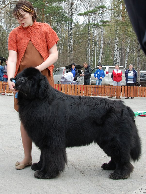 Фотография № 181102