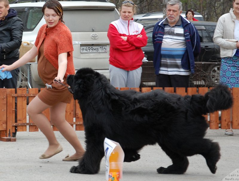 Фотография № 181103