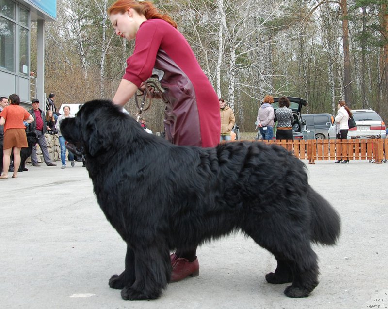 Фотография № 181104