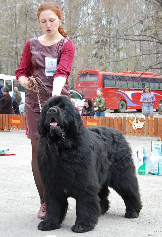 Фотография № 181105