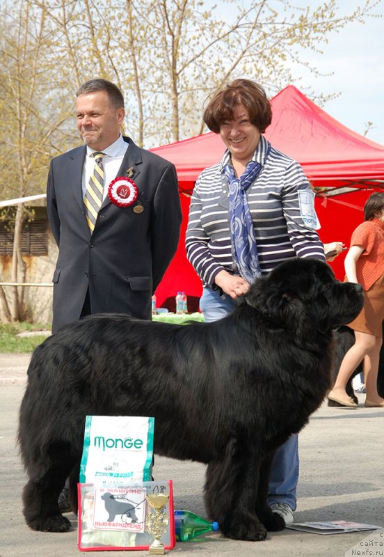 Фотография № 181112