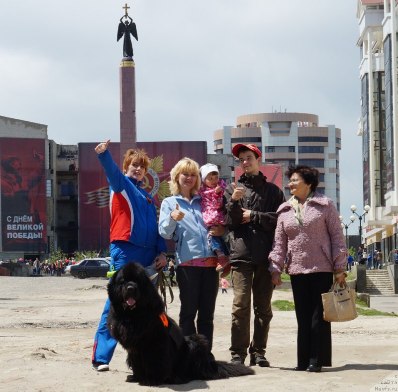 Фото: ньюфаундленд Чарующий Чезарио (Charuyuschiy Chezario), Елена Кирпа