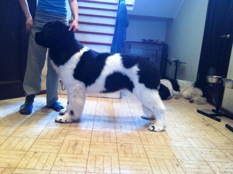 Фотография № 181125