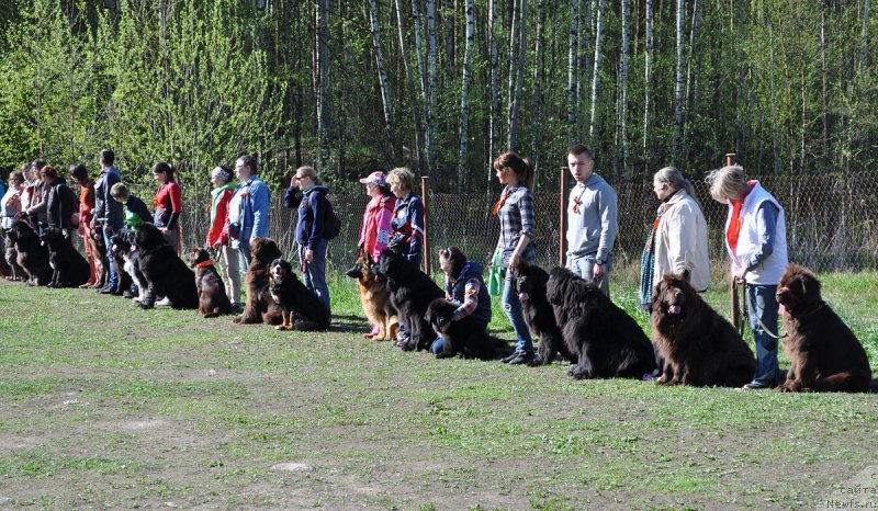 Фотография № 181126