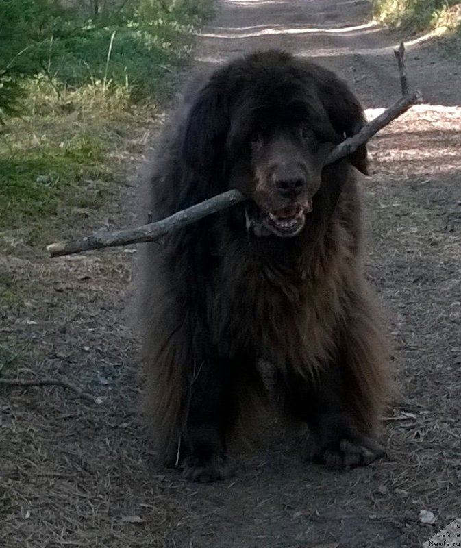 Фотография № 181146