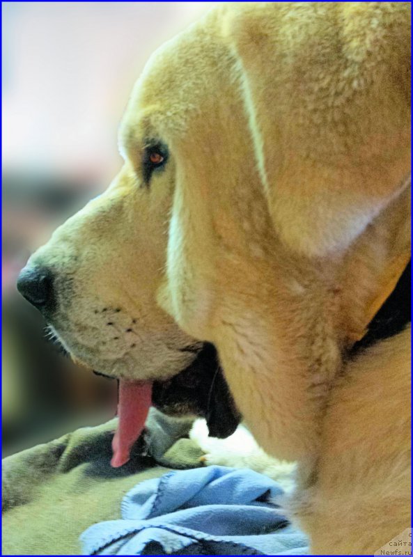 Фотография № 181149