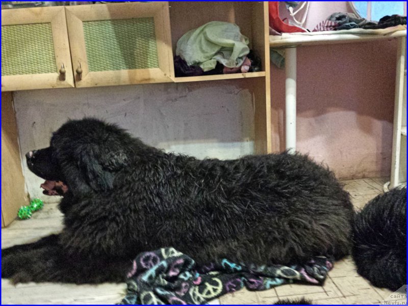 Фотография № 181150