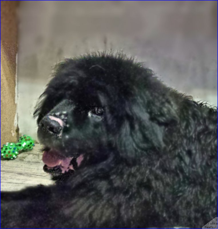 Фотография № 181153