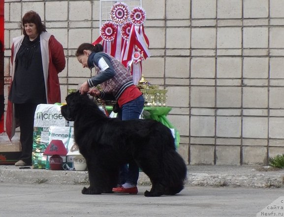 Фотография № 181166