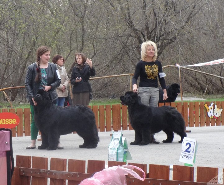 Фотография № 181167