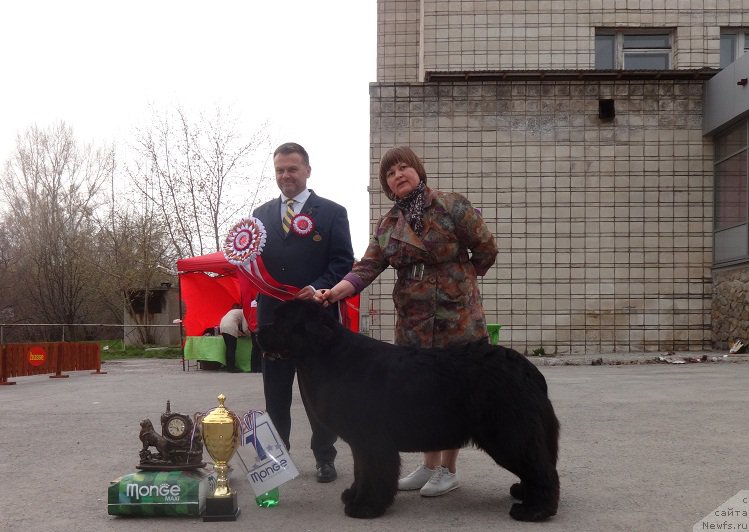 Фотография № 181170