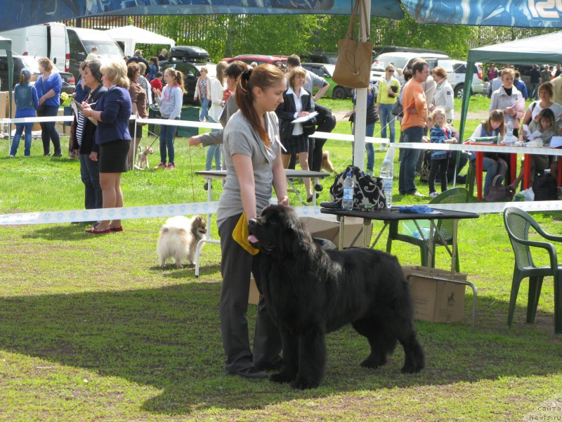 Фотография № 181172