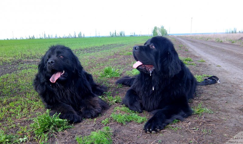 Фотография № 181177