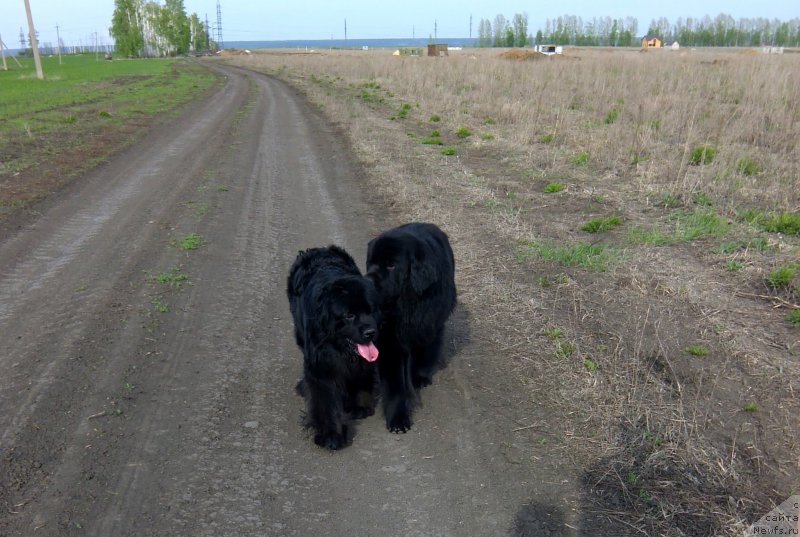 Фотография № 181178