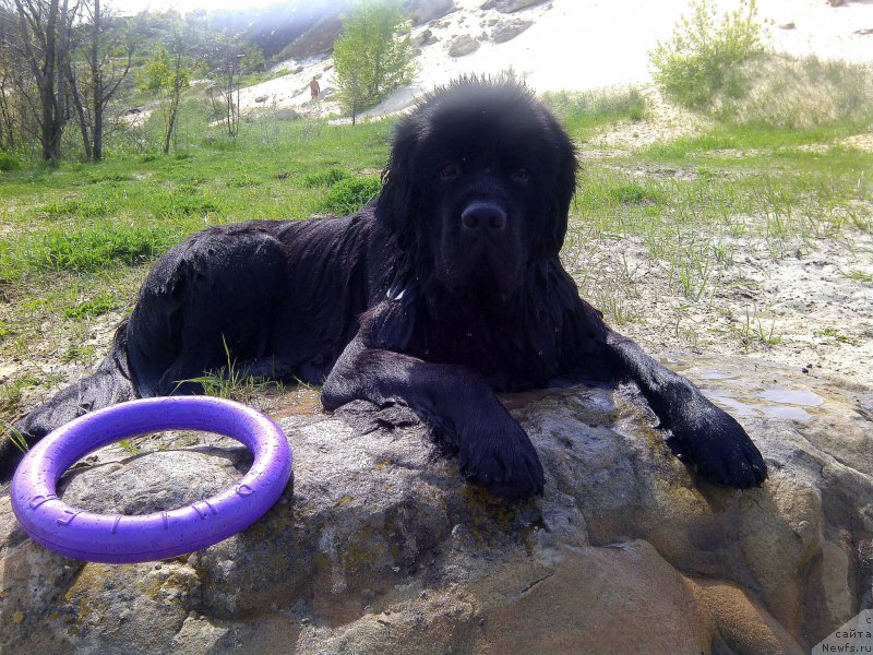 Фотография № 181179