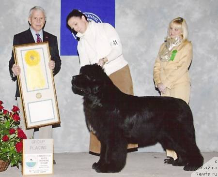 Фотография № 181231