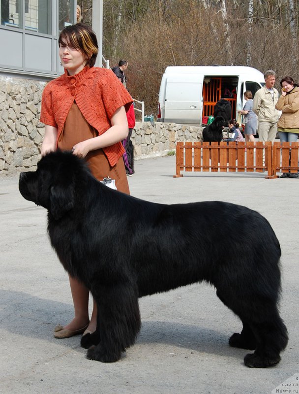 Фотография № 181240