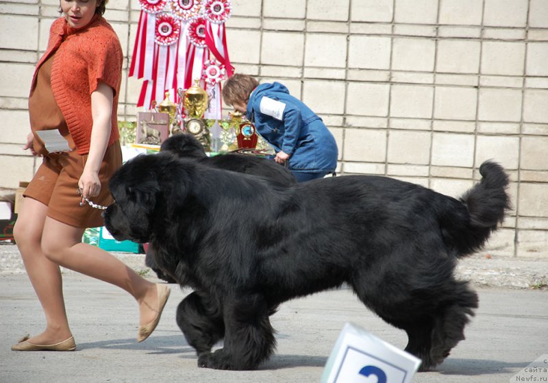 Фотография № 181242