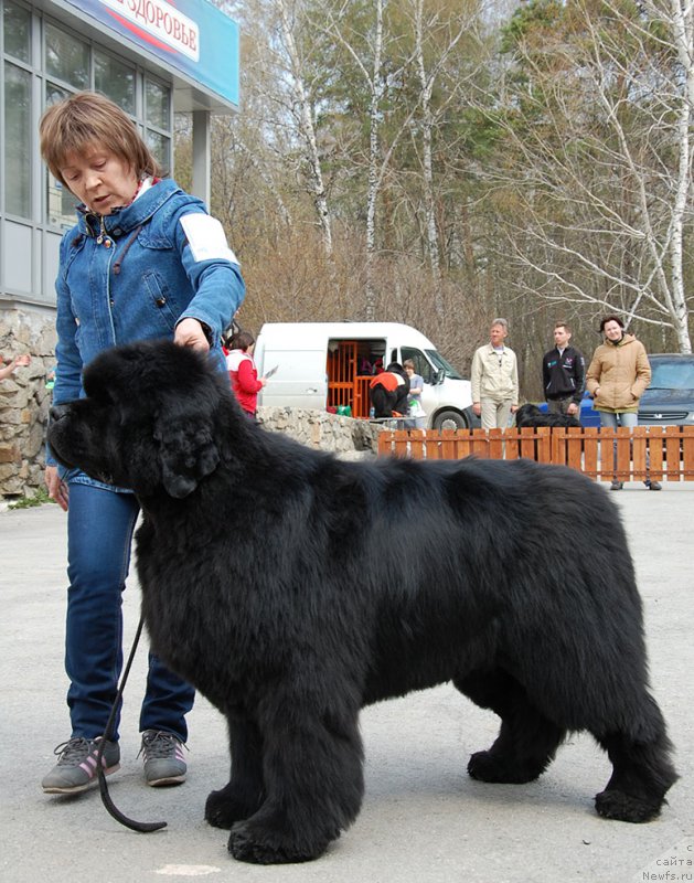 Фотография № 181243