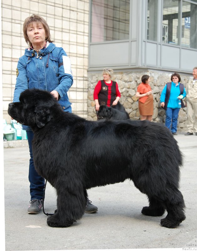 Фотография № 181244