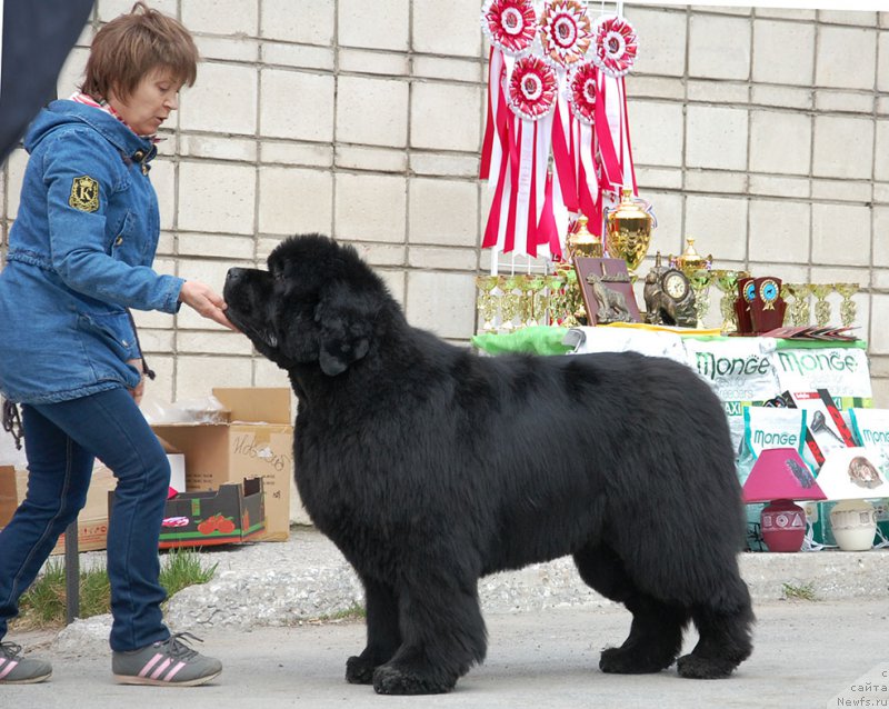 Фотография № 181245