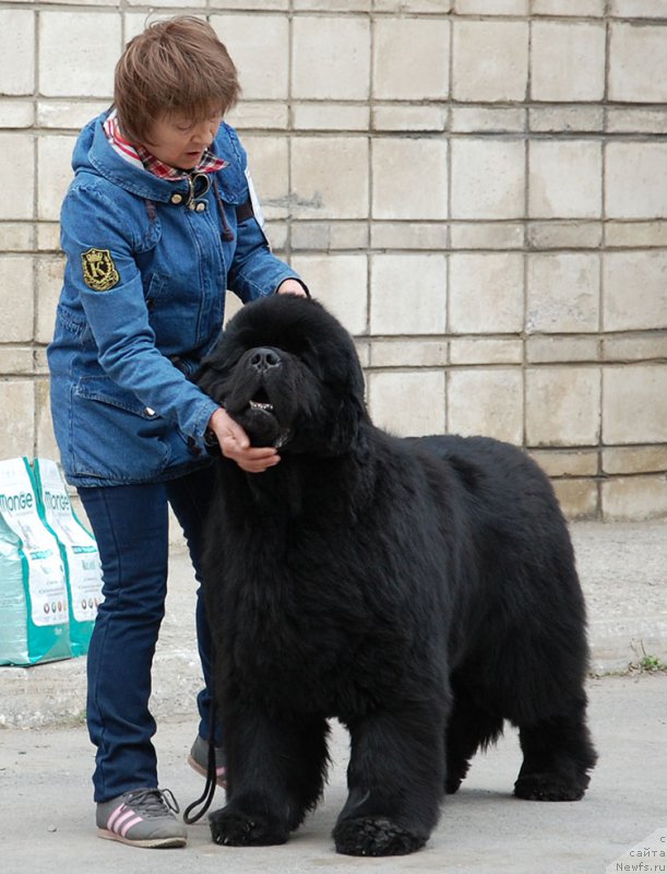 Фотография № 181246