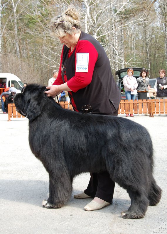 Фотография № 181247