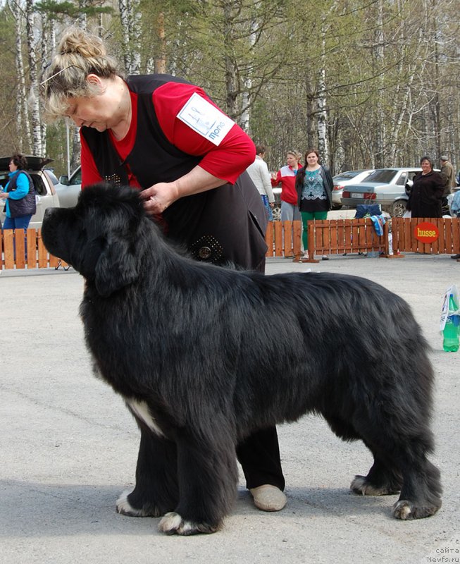 Фотография № 181248