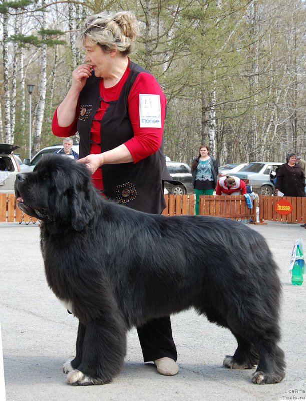 Фотография № 181249