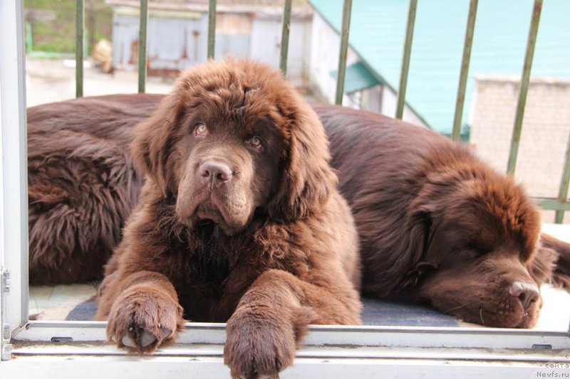 Фотография № 181269