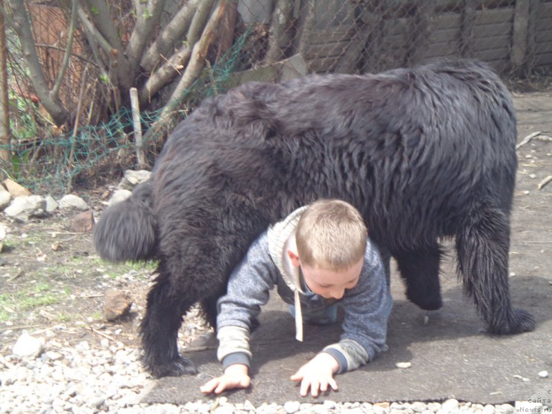 Фото: [d13906]и Внук Олег))