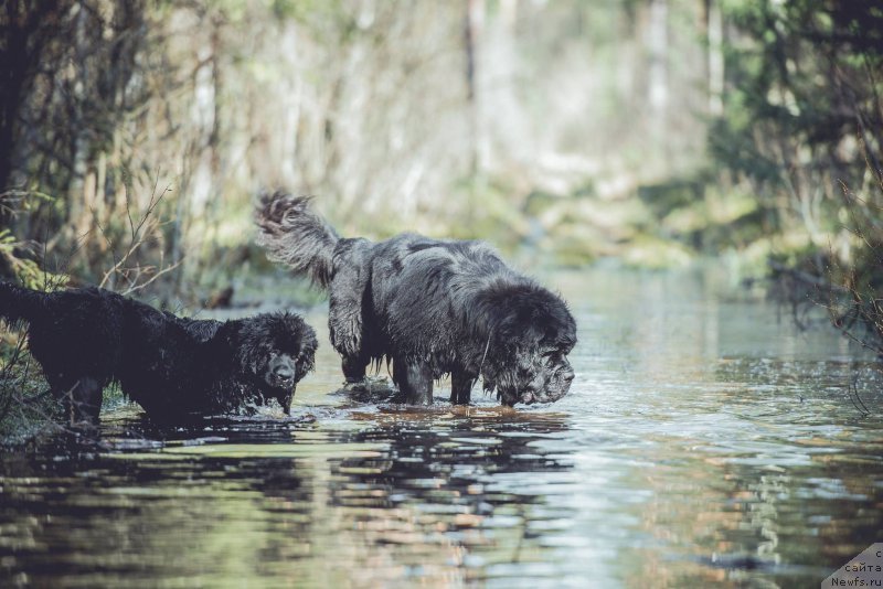 Фотография № 181294