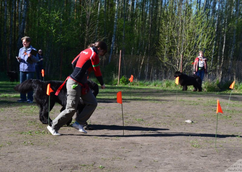 Фотография № 181302