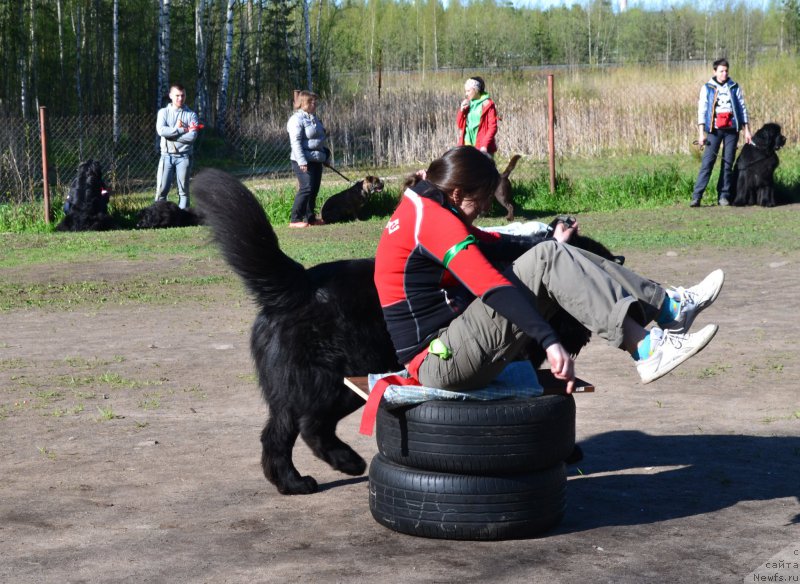 Фотография № 181303