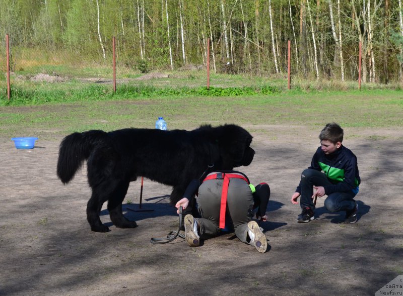 Фотография № 181304