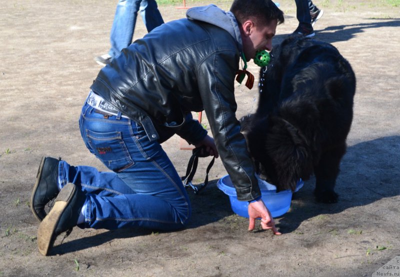 Фотография № 181306