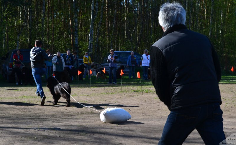 Фотография № 181307