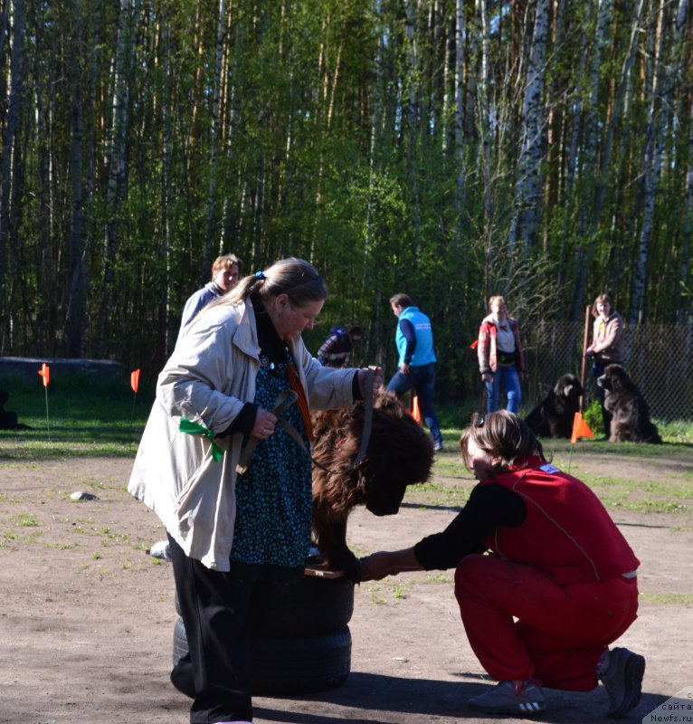 Фотография № 181308