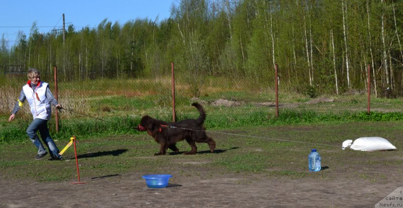 Фотография № 181310