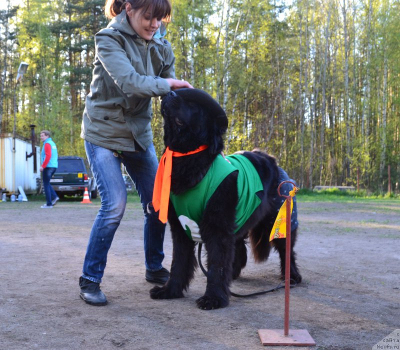 Фотография № 181315