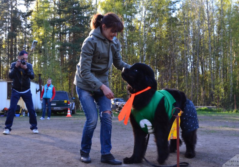 Фотография № 181316