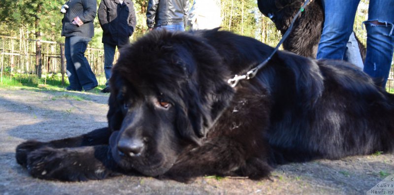 Фотография № 181319