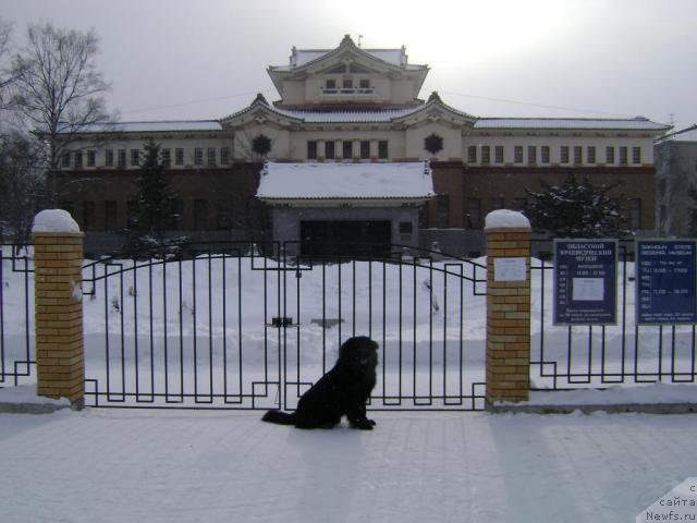 Фото: Екатерина Кондакова, Екатерина Кондакова
