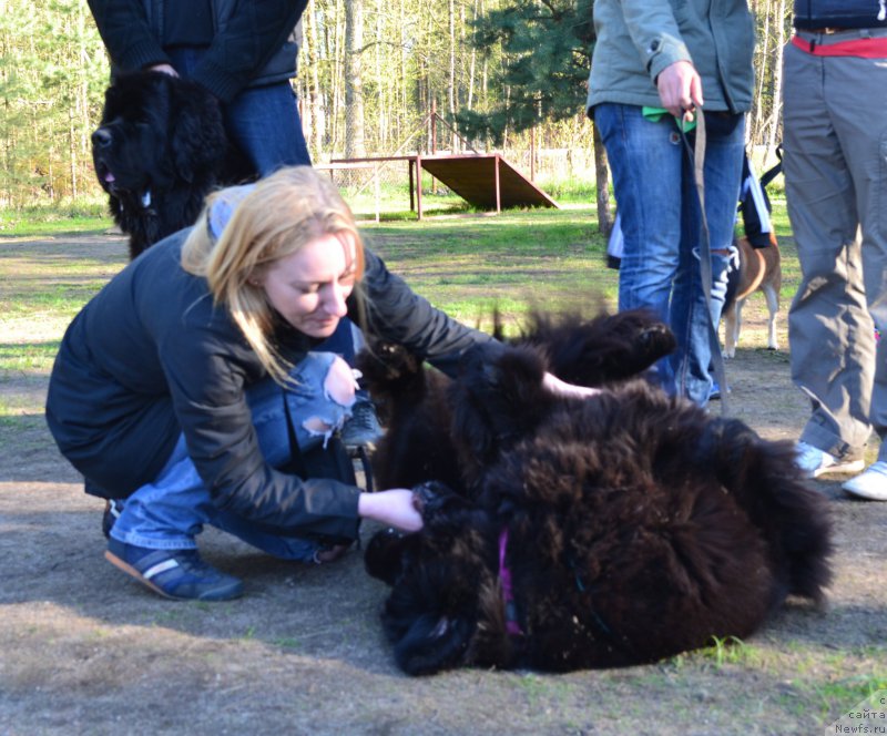 Фотография № 181320