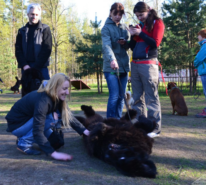 Фотография № 181321