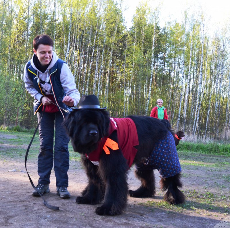 Фотография № 181322