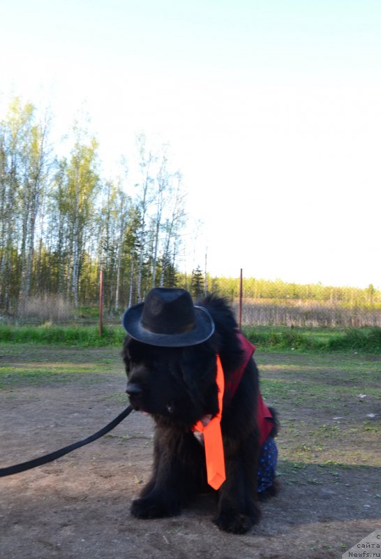 Фотография № 181323